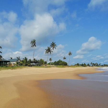 Afro Beach Eco Resort Butre Bagian luar foto