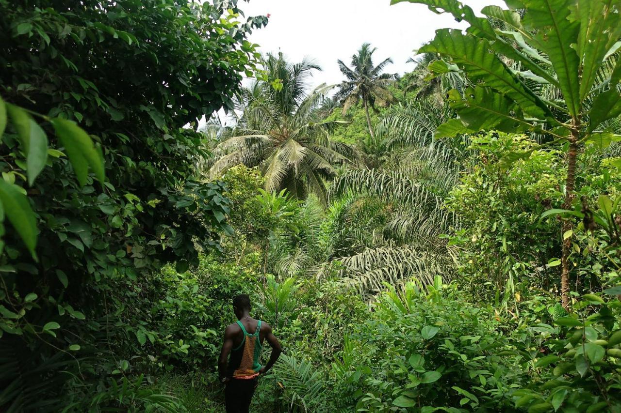 Afro Beach Eco Resort Butre Bagian luar foto