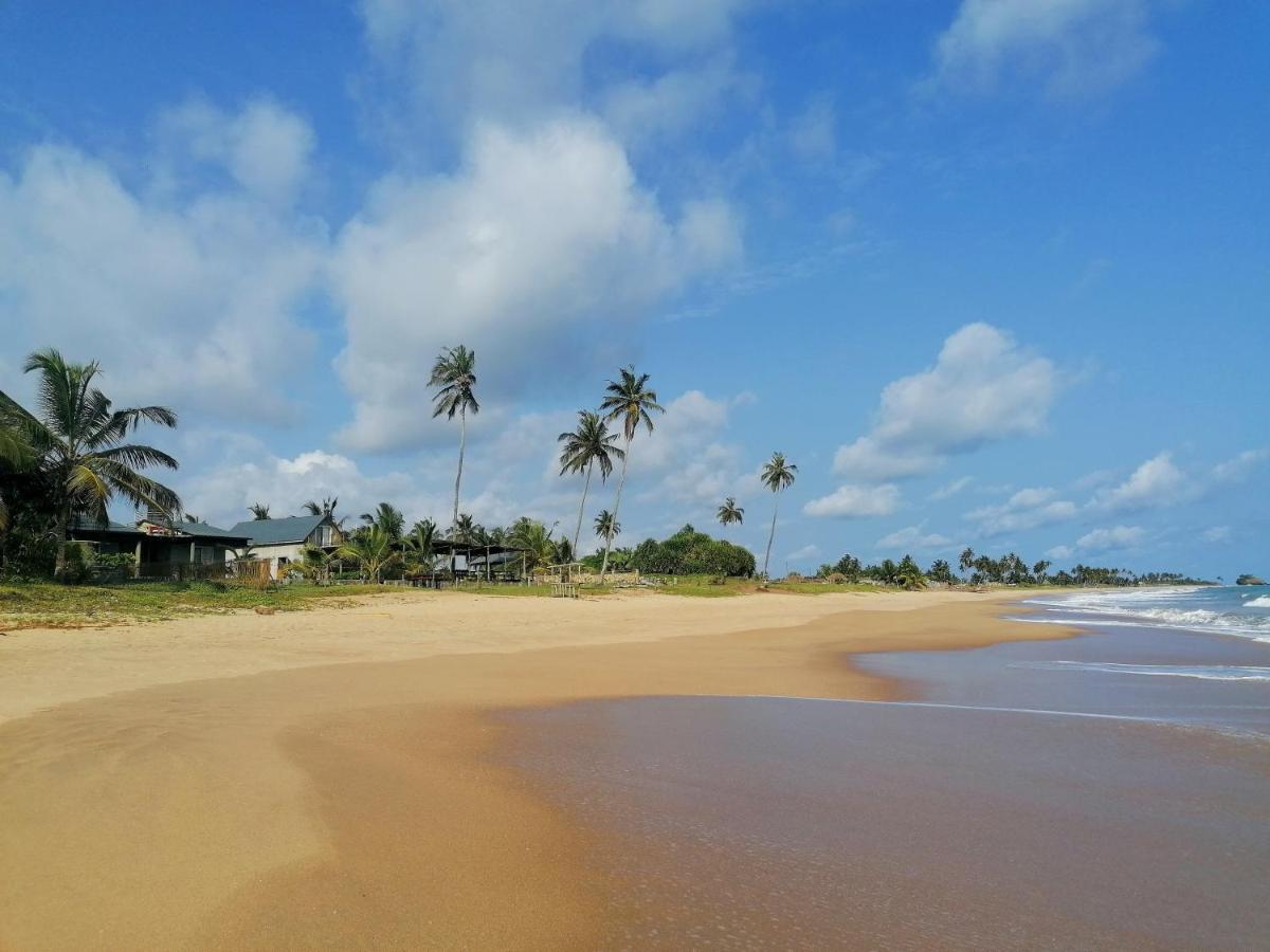 Afro Beach Eco Resort Butre Bagian luar foto