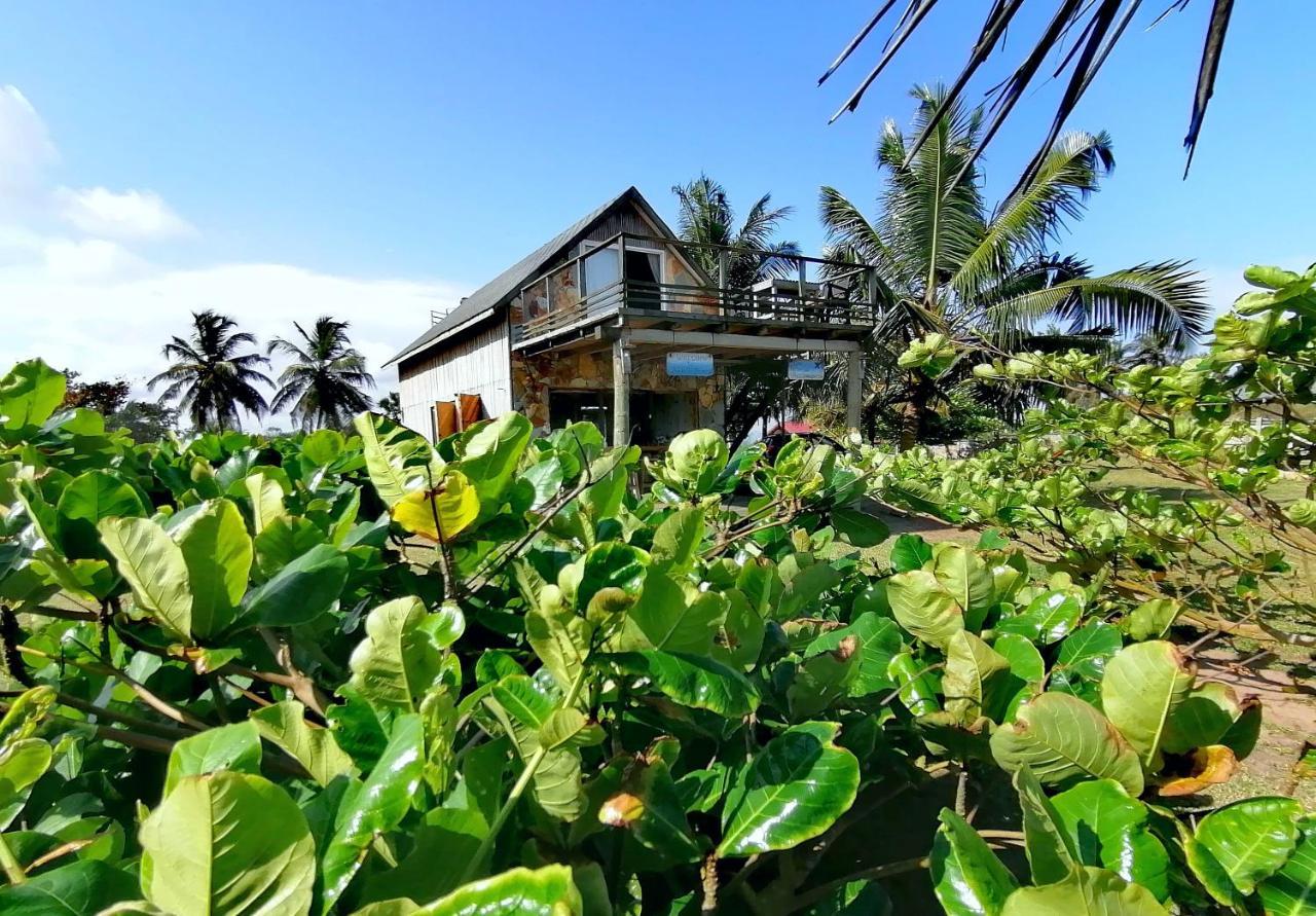 Afro Beach Eco Resort Butre Bagian luar foto