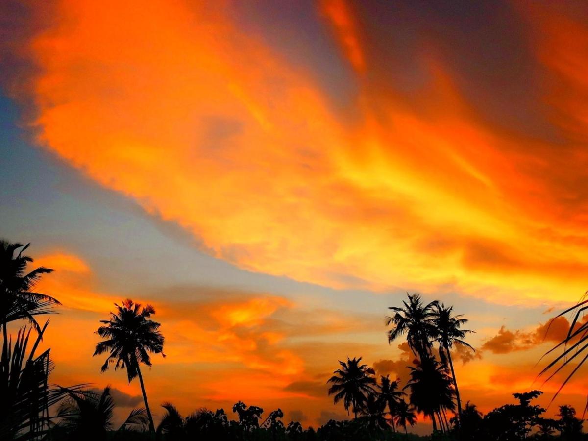 Afro Beach Eco Resort Butre Bagian luar foto