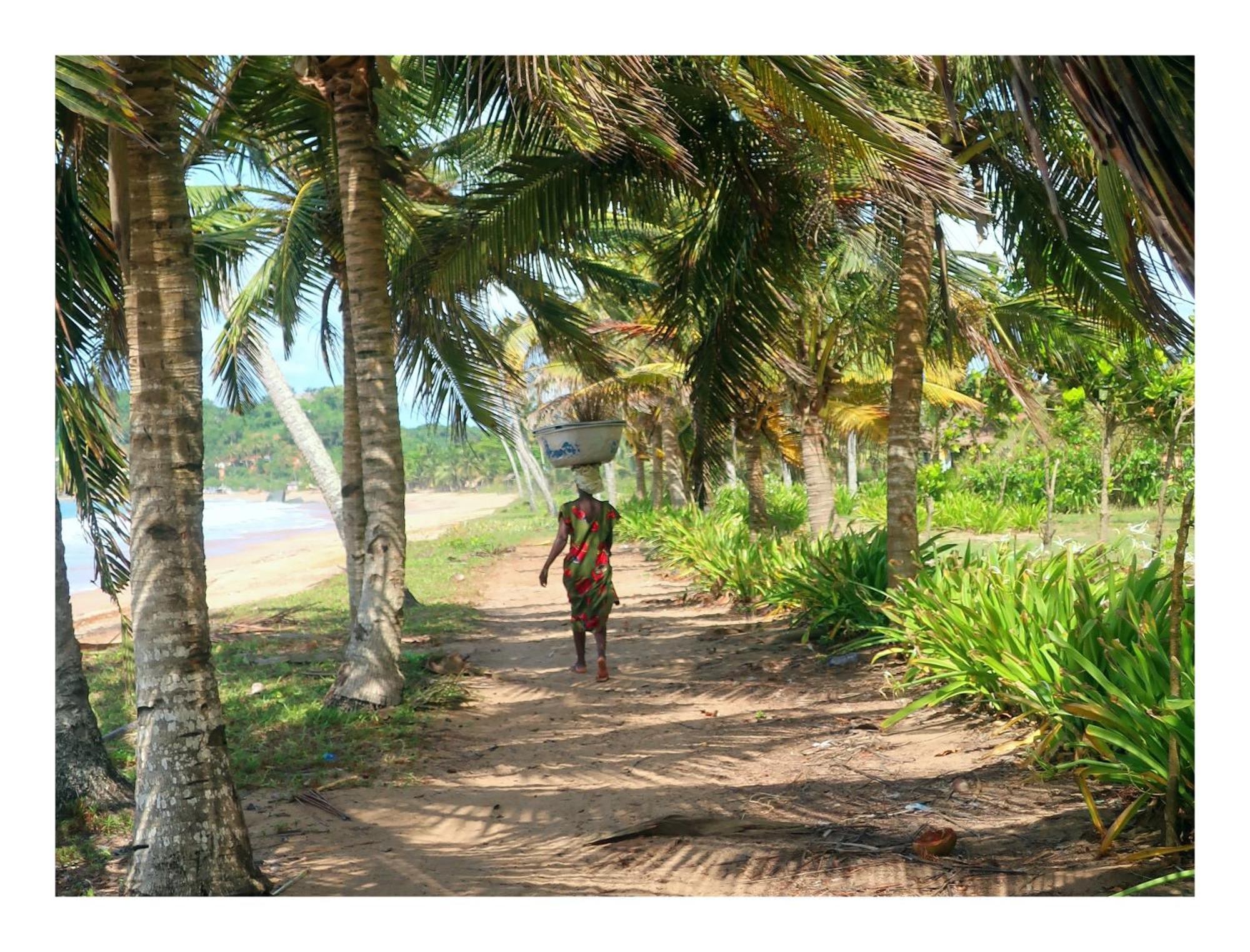 Afro Beach Eco Resort Butre Bagian luar foto