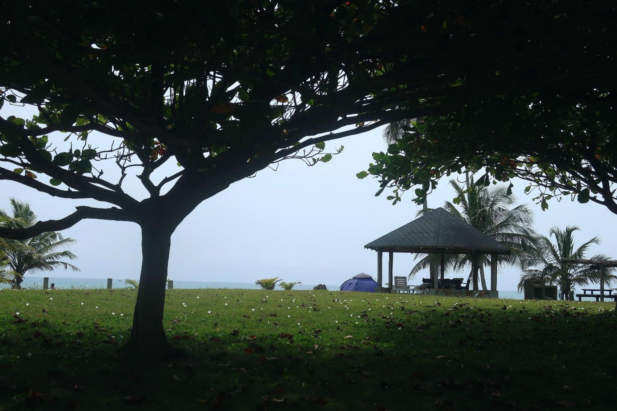 Afro Beach Eco Resort Butre Ruang foto