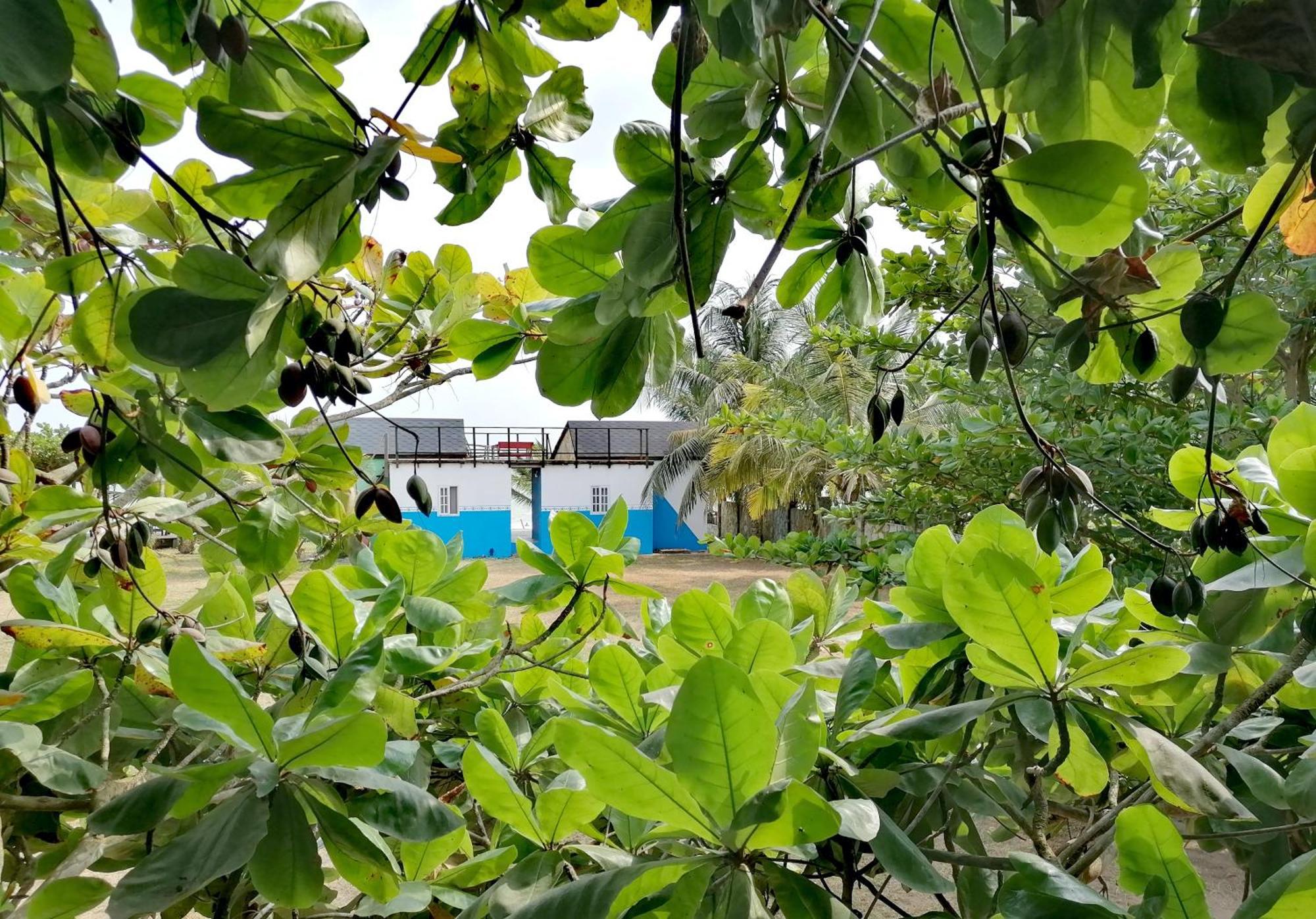 Afro Beach Eco Resort Butre Ruang foto