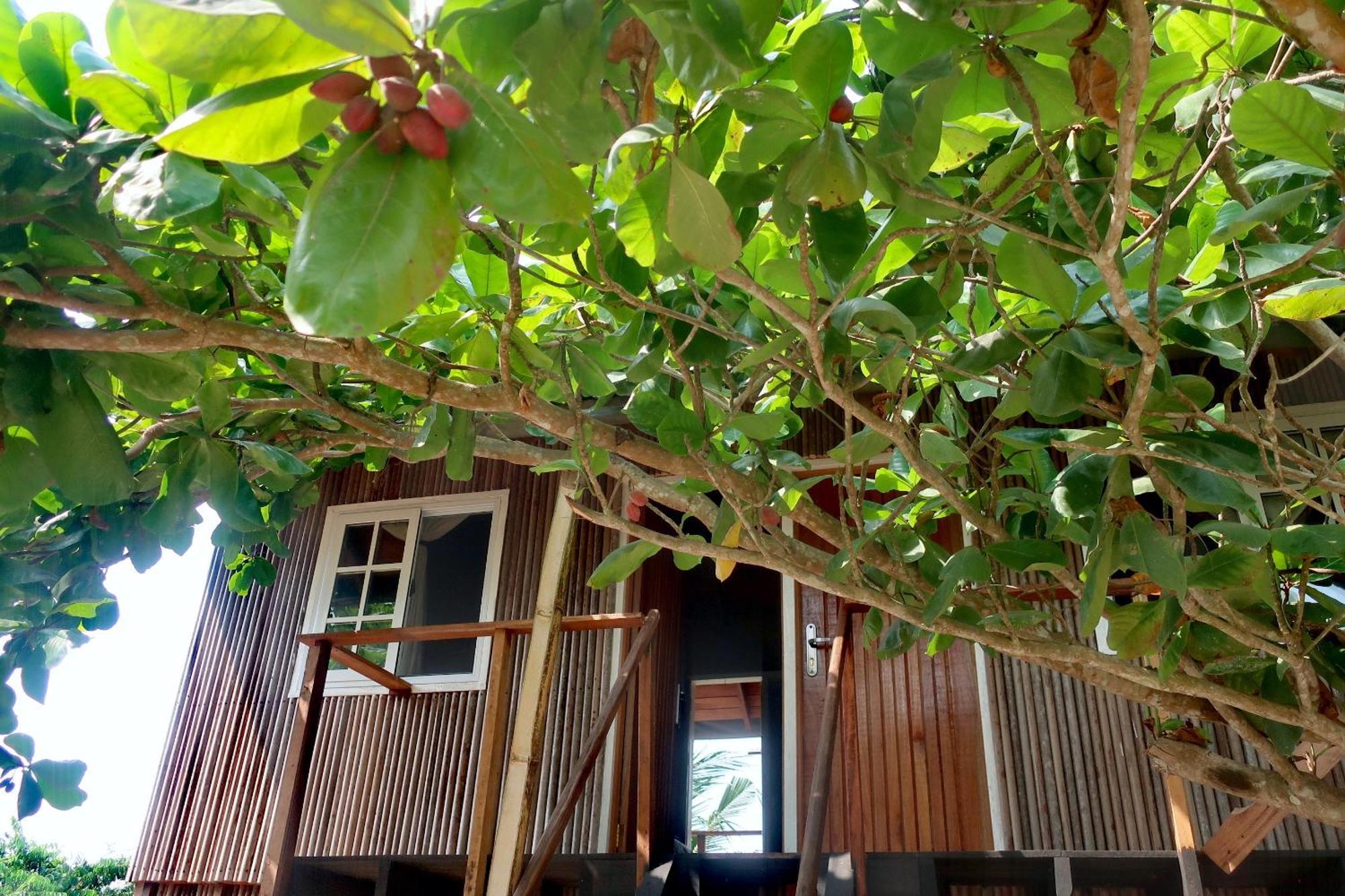 Afro Beach Eco Resort Butre Ruang foto
